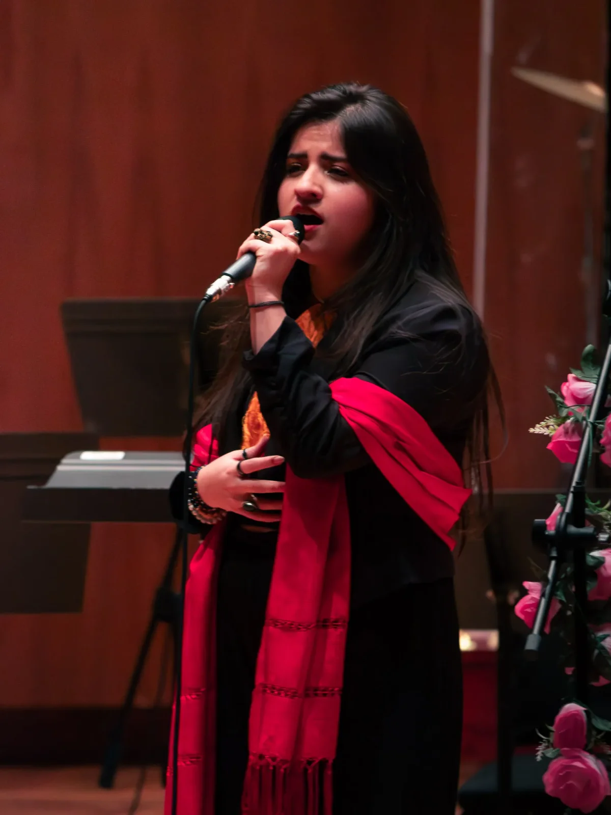 concert photography by JRMGraphy